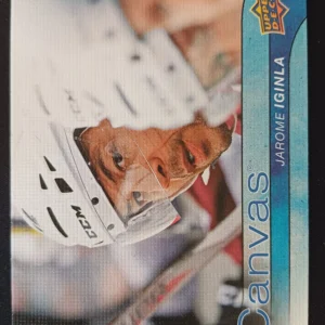 2016/2017 Upper Deck Series 1 Canvas C25 Jarome Iginla Inzert