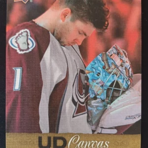 2013/2014 Upper Deck Series 2 Canvas C189 Semyon Varlamov Inzert