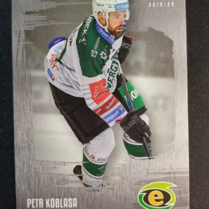 2019/2020 OFS OFS Classic Silver 205 Petr Koblasa Paralel