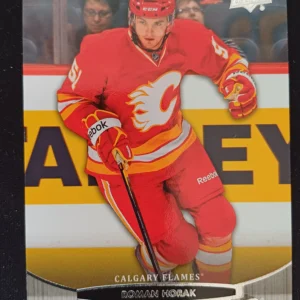 2011/2012 Upper Deck Series 1 Young Guns 204 Roman Horak Inzert