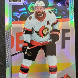 2020/2021 Upper Deck OPC Platinum Rainbow 33 Derek Stepan Paralel