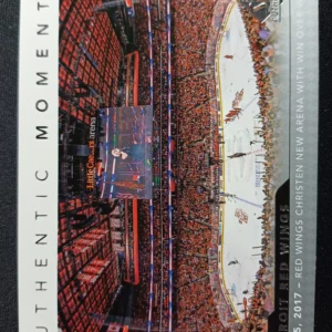2017/2018 Upper Deck SP Authentic Authentic Moments 113 Detroit Red Wings Inzert