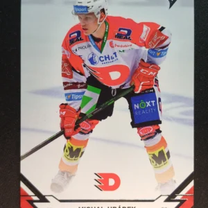 2021/2022 Sportzoo Serie 2 Base 308 Michal Hrádek