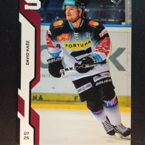 2022/2023 Sportzoo Serie 1 Base 30 David Kaše
