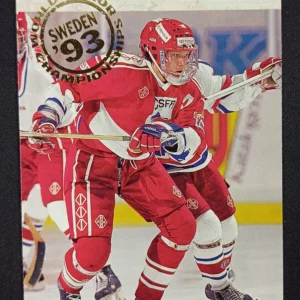 1993/1994 Upper Deck Series 1 Base 264 Tomas nemcicky