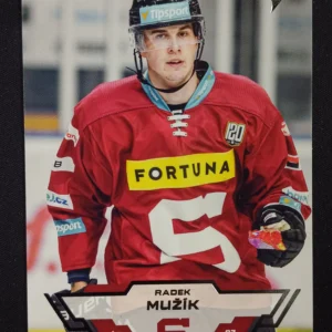 2023/2024 Sportzoo Serie 2 Base 293 Radek Mužík