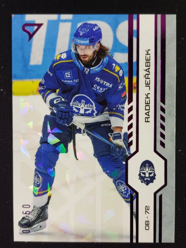 2024/2025 Sportzoo Serie 1 Purple Iceberg 238 Radek Jeřábek Paralel 02/60