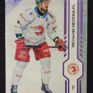 2024/2025 Sportzoo Serie 1 Puck Marks 7 Richard Nedomlel Paralel