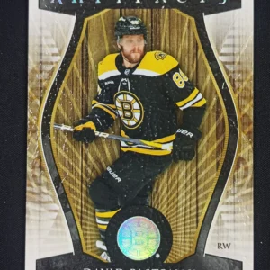 2023/2024 Upper Deck Artifacts Leather 117 David Pastrnak Paralel