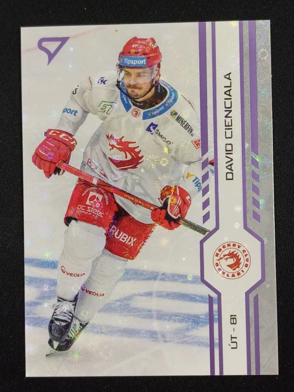 2024/2025 Sportzoo Serie 1 Puck Marks 10 David Cienciala Paralel