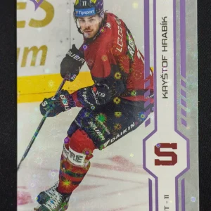 2024/2025 Sportzoo Serie 1 Puck Marks 47 Kryštof Hrabík Paralel