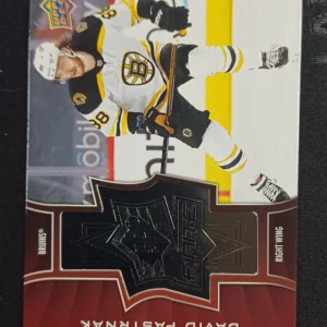 2020/2021 Upper Deck Extended SPx Finite SF-3 David Pastrnak Inzert 1938/2999