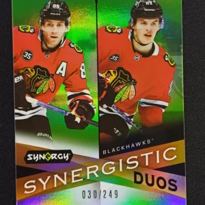 2022/2023 Upper Deck Synergy Synergistic Duos Green SD-12 Lukas Reichel Inzert 030/249
