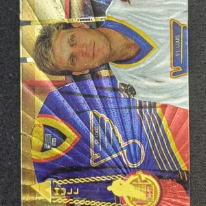 1994/1995 Pinnacle  Series 2 Rink Collection 450 Brett Hull Paralel