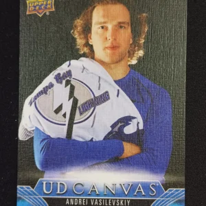 2023/2024 Upper Deck Series 2 Canvas C194 Andrei Vasilevskiy Inzert