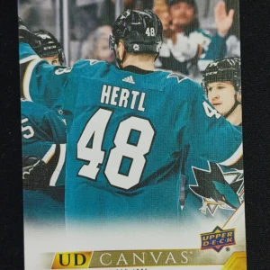 2022/2023 Upper Deck Series 1 Canvas C65 Tomas Hertl Inzert
