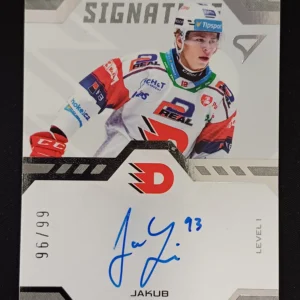 2024/2025 Sportzoo Serie 2 Authentic Signatures Level 1 SL1-JL Jakub Lichtag AUTO 96/99