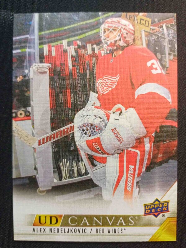 2022/2023 Upper Deck Series 1 Canvas C31 Alex Nedeljkovic Inzert