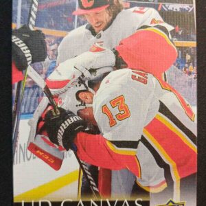 2018/2019 Upper Deck Series 2 Canvas C131 Mike Smith Inzert