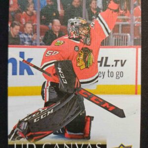 2018/2019 Upper Deck Series 2 Canvas C138 Corey Crawford Inzert