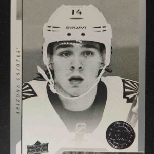 2017/2018 Upper Deck Series 1 Portraits P-60 Clayton Keller Inzert