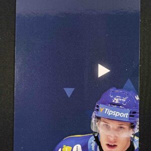 2024/2025 Sportzoo Serie 1 Puzzle Quest 1 Inzert