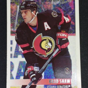 1994/1995 Topps OPC Premier Special Effects 161 Brad Shaw Paralel