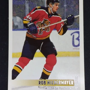 1994/1995 Topps OPC Premier Special Effects 306 Rob Niedermayer Paralel
