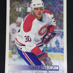 1994/1995 Topps OPC Premier Special Effects 392 Turner Stevenson Paralel