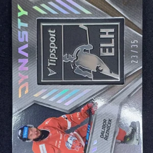 2024/2025 Sportzoo Serie 2 Dynasty DY-23 Dalibor Řezníček Logo 23/35