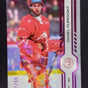 2024/2025 Sportzoo Serie 2 Purple Iceberg 257 Daniel Kurovský Paralel 31/60