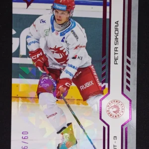 2024/2025 Sportzoo Serie 2 Purple Iceberg 260 Petr Sikora Paralel 36/60