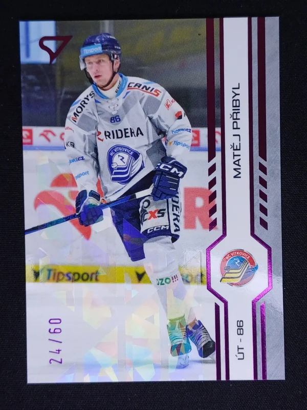 2024/2025 Sportzoo Serie 2 Purple Iceberg 323 Matěj Přibyl Paralel 24/60