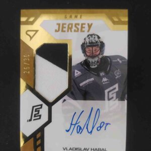 2024/2025 Sportzoo Serie 2 Game Jersey GJS-VH Vladislav Habal AUTO Patch 25/30