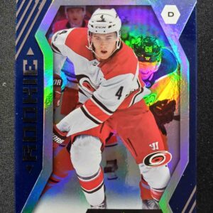 2017/2018 Upper Deck Synergy Blue 55 Haydn Fleury Paralel