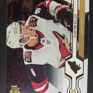 2019/2020 Upper Deck Series 2 Silver Foil 409 Clayton Keller Paralel