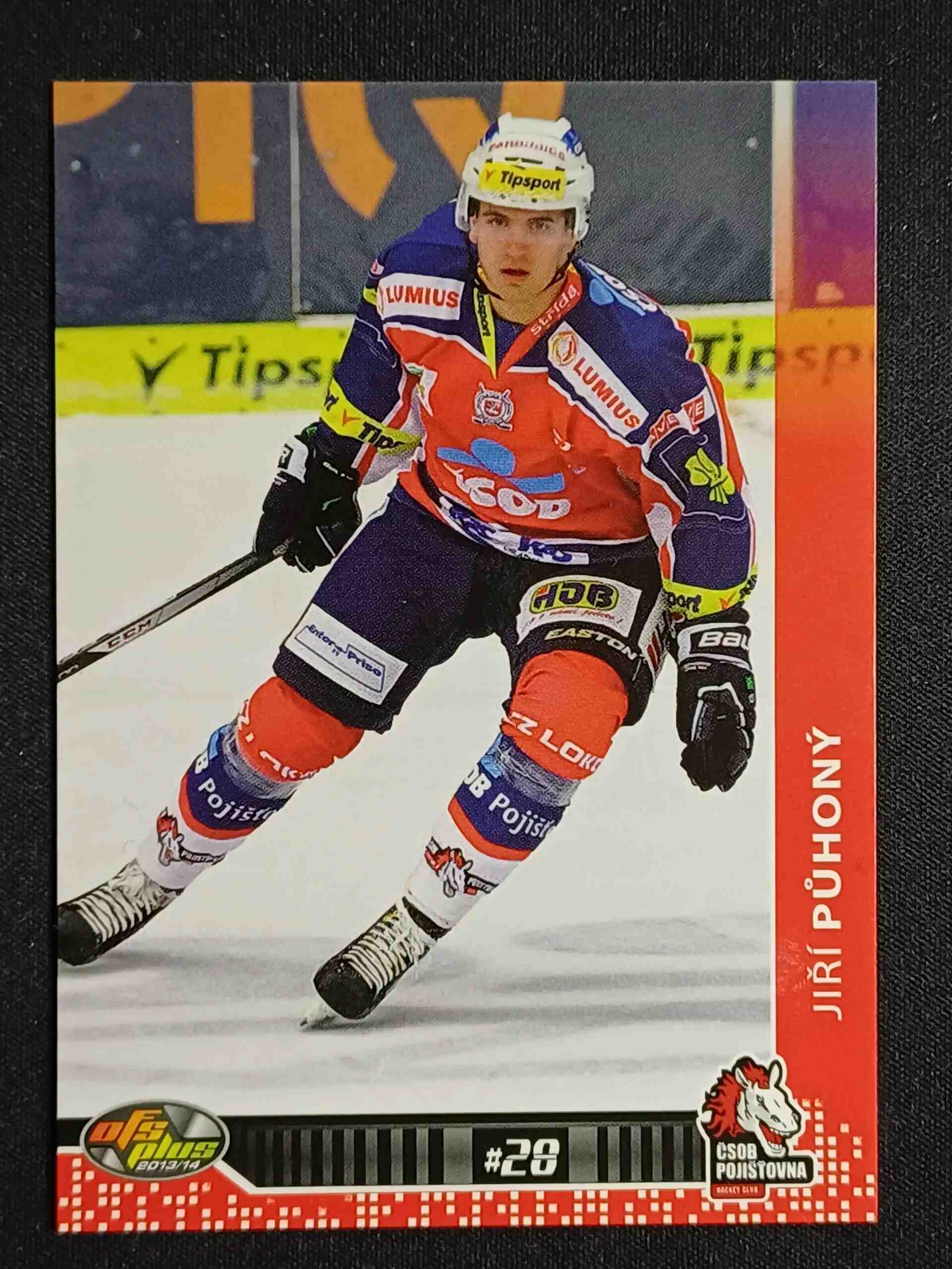 2013/2014 OFS Plus Base 336 Jiří Půhoný