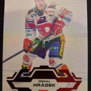 2023/2024 Sportzoo Serie 2 Goal Light 269 Michal Hrádek Paralel /60