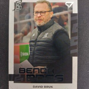 2022/2023 Sportzoo Serie 2 Bench Boss BB-14 David Bruk Inzert