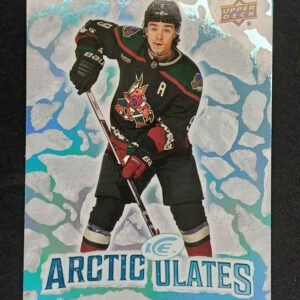 2024/2025 Upper Deck ICE Arcticulates AT-2 Clayton Keller Inzert