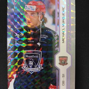 2024/2025 Sportzoo Play Off Puck Marks 411 Michael Vukojevic Paralel