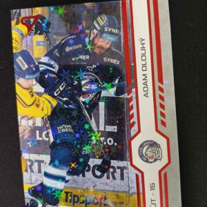 2024/2025 Sportzoo Play Off Red Sparks 407 Adam Dlouhý Paralel