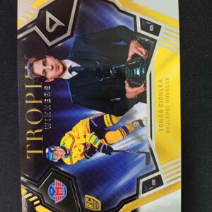 2024/2025 Sportzoo Play Off Trophy Winners TW-2 Tomáš Cibulka Inzert