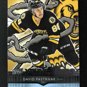 2024/2025 Upper Deck Series 2 Young Guns Renewed 495 David Pastrnak Inzert