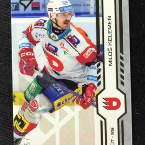 2024/2025 Sportzoo Serie 2 Golden Glow 263 Miloš Kelemen Paralel 05/10