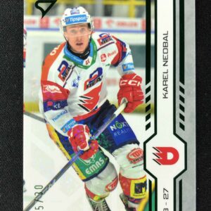 2024/2025 Sportzoo Play Off Green Glitter 369 Karel Nedbal Paralel 25/30