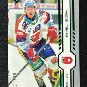 2024/2025 Sportzoo Play Off Green Glitter 369 Karel Nedbal Paralel 01/30