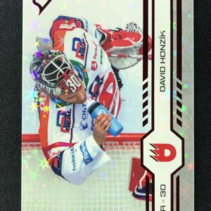 2024/2025 Sportzoo Play Off Red Sparks 366 David Honzík Paralel