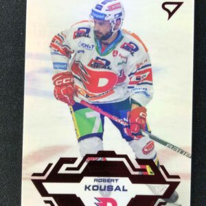 2023/2024 Sportzoo Serie 1 Goal Light 48 Robert Kousal Paralel /60