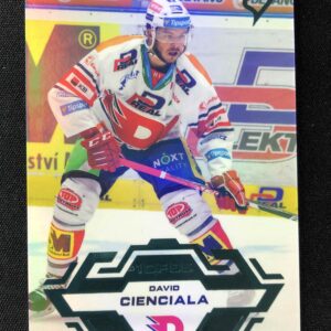 2023/2024 Sportzoo Serie 1 Ice Reflection 46 David Cienciala Paralel /95